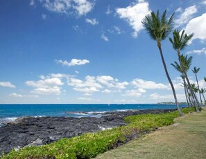 Beach nearby, sun-loungers, beach towels - Kona Reef F14 Oceanfront Luxury, Full AC, King (Kailua-Kona)