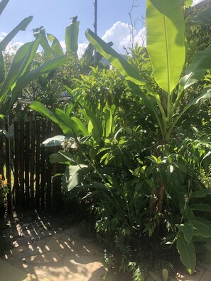 Área da propriedade