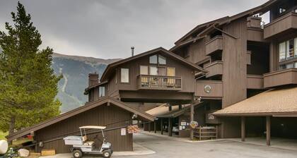 Perfect Ski In/Ski Out Condo in Center Village