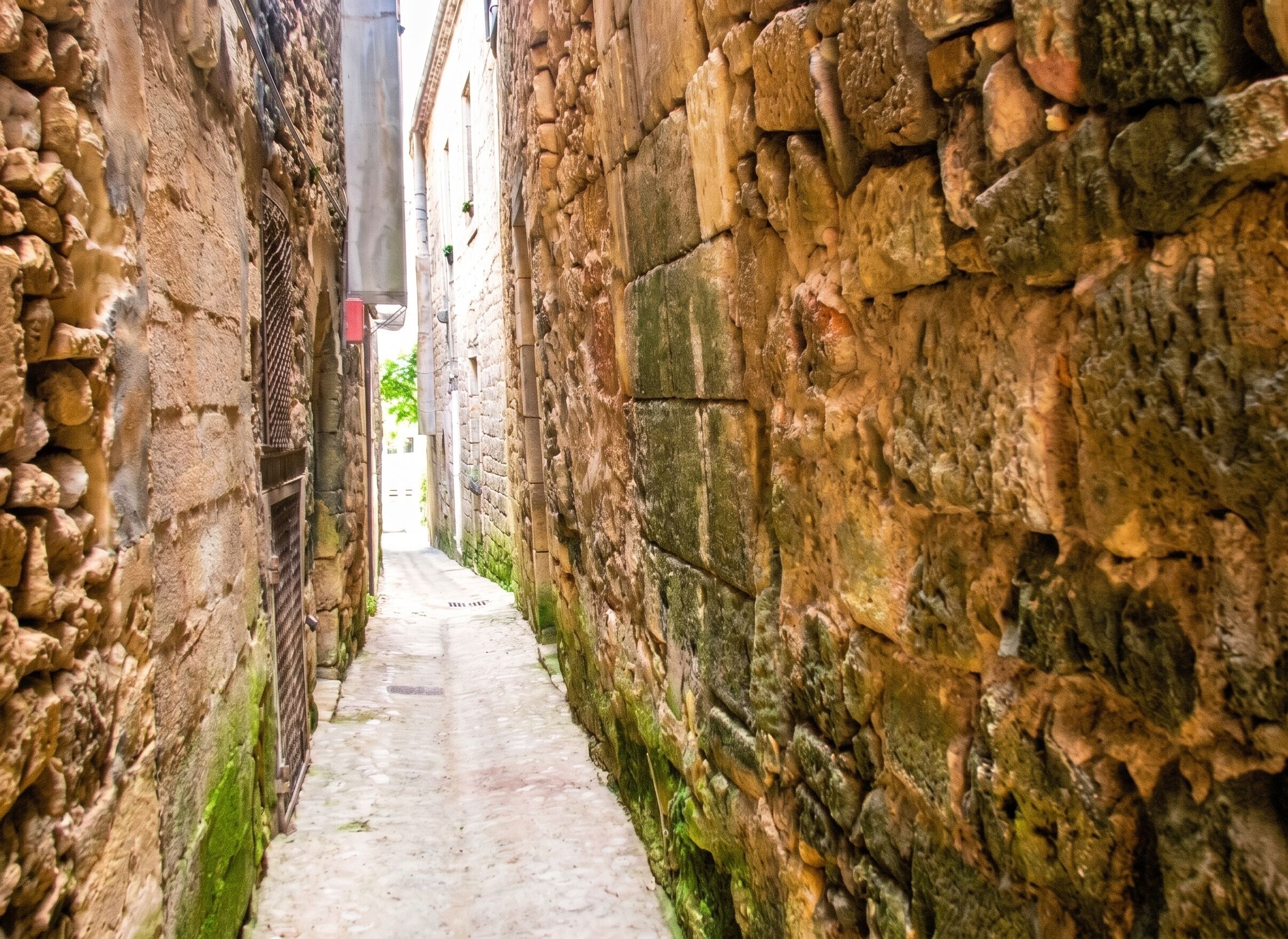 Une ruelle étroite pavée de pierres, avec un chemin bordé de pavés.