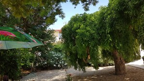 A garden area with a table and chairs, a potted plant, and a large tree. - Quiet family house (Agde)