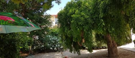 A garden area with a table and chairs, a potted plant, and a large tree.