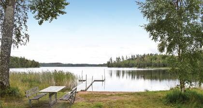 Stunning home in Burseryd with WiFi