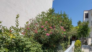 Ein Garten mit rosa Blumen und einem weißen Gebäude.