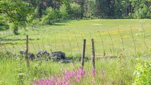 A rural landscape with a wire fence, green grass, and trees in the background. - Amazing home in Gamleby (Gamleby)