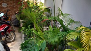 A covered outdoor area with potted plants and two motorcycles parked under a shelter. - Sevenstars Hostel (Sihanoukville)