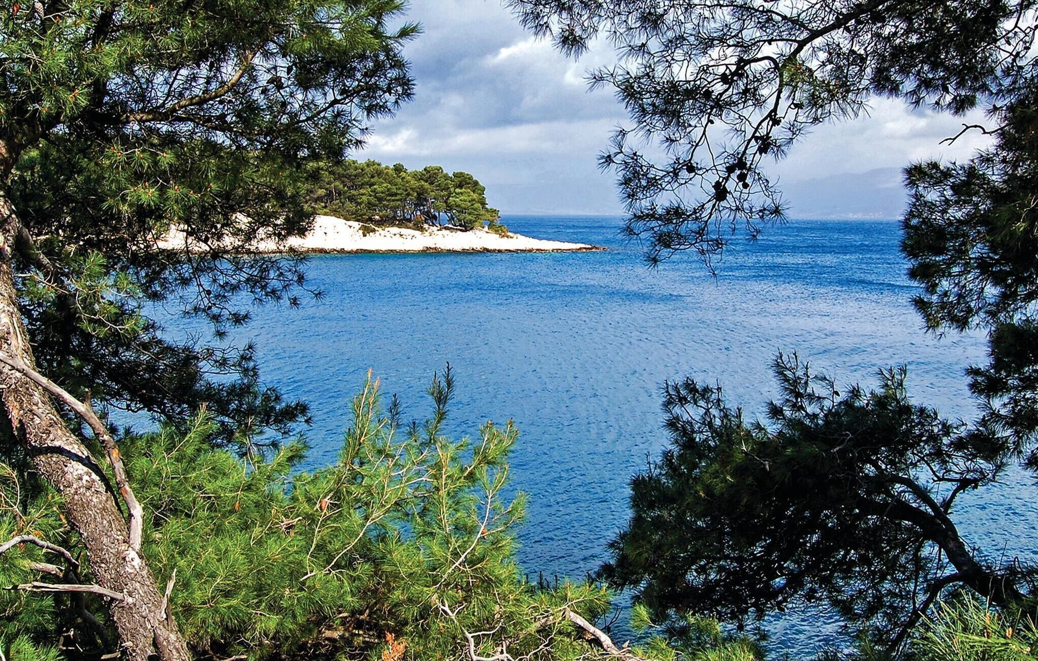 A coastal landscape with a clear view of the sea, surrounded by dense pine trees.