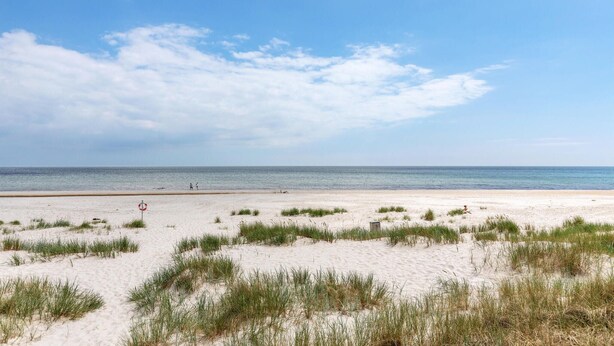 Une plage avec des dunes de sable et une végétation clairsemée.