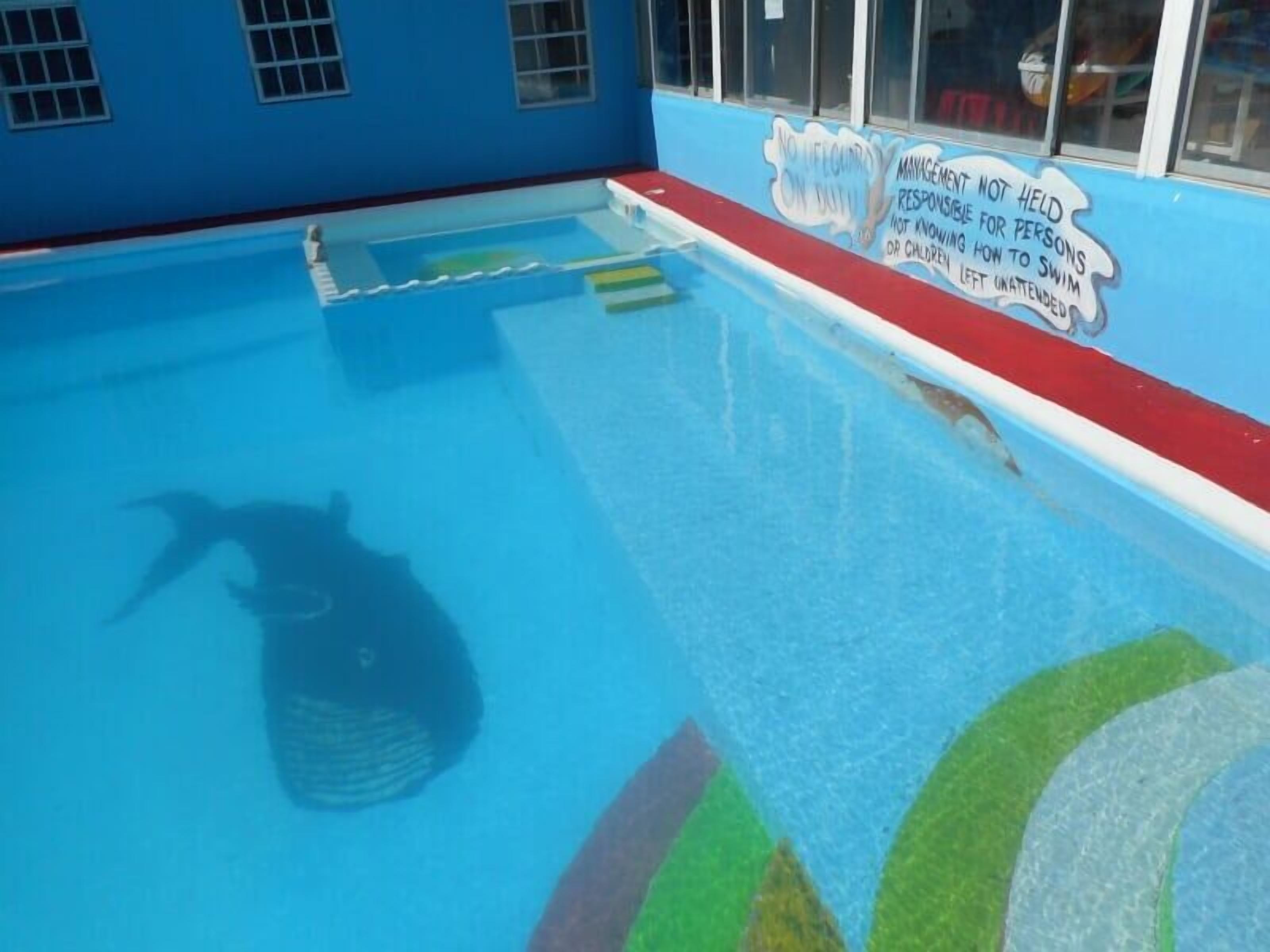 An indoor swimming pool with a mural on the wall and a lifeguard sign.