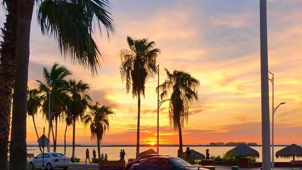 An outdoor seating area with tables and chairs, overlooking a sunset over water with palm trees. - Mechudo Brewinn (La Paz)