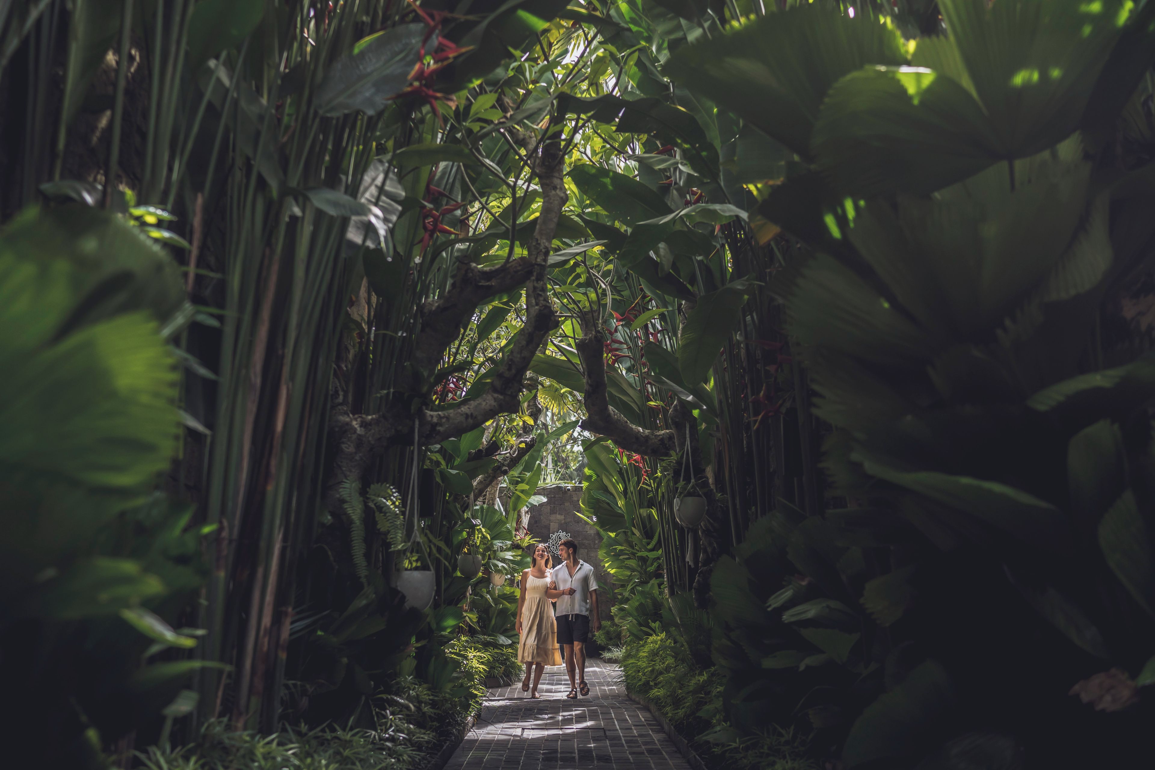 Un sentier traverse un jardin luxuriant, bordé de chaque côté d’une végétation dense.