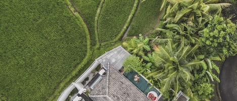 An aerial view of a building with a sloped roof, surrounded by lush green fields and palm trees.