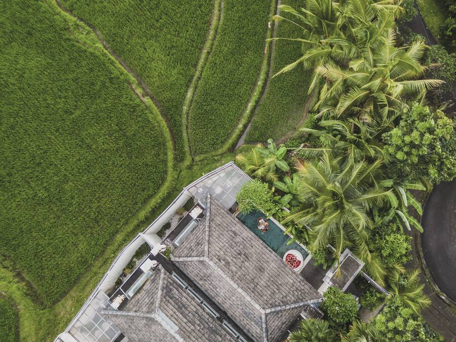 Vista aérea de un edificio con techo inclinado, rodeado de campos verdes y palmeras.