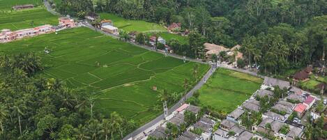 Pemandangan dari udara