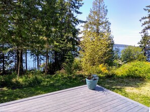 Property grounds - High bank water front tiny house (Freeland)