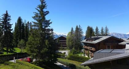 Montagnards 13 by Interhome