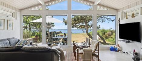 تلفزيون، مدفأة، مشغل دي في دي