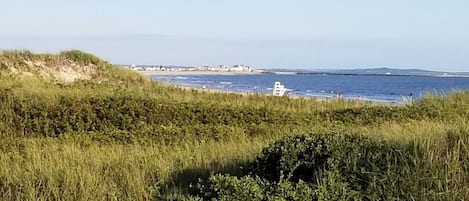 Beach nearby, beach towels