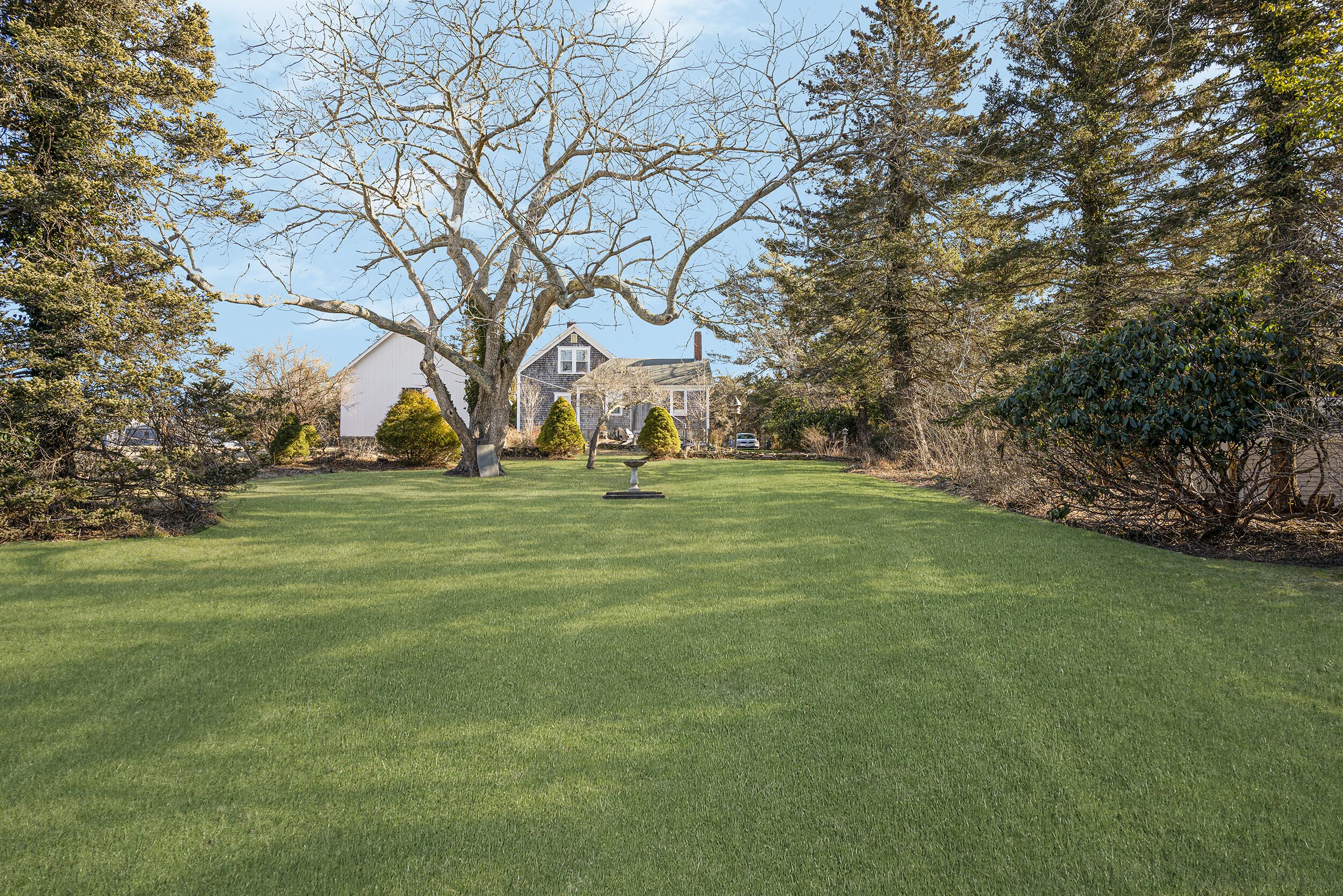 A well-maintained lawn with a large tree and a house in the background.