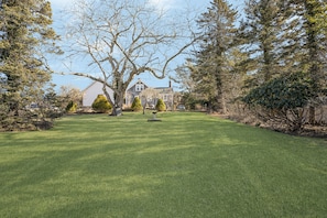 Une pelouse bien entretenue, avec un grand arbre et une maison en arrière-plan.