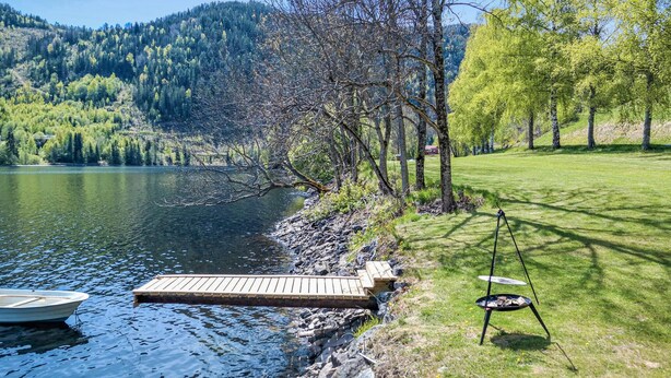Terraza junto al lago con muelle para barcos, una parrilla y un área verde con árboles.