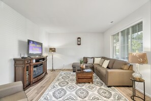 Smart-tv, pejs, videospil, dvd-afspiller