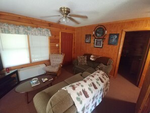 Smart-TV, Kamin, DVD-Player, Videothek