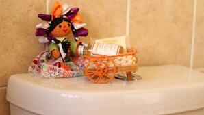 Bathroom amenities