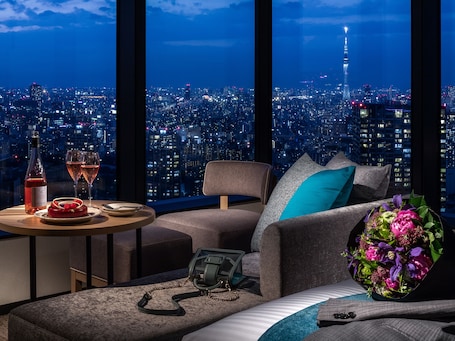View from property. Mitsui Garden Hotel Toyosu Premier Tokyo