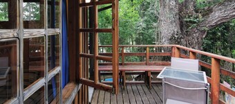 Cabain Radal i Coñaripe