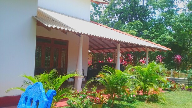 A house with a covered porch, a lawn, and various plants.