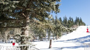 Pista de esqui coberta de neve, com árvores e um teleférico vermelho.