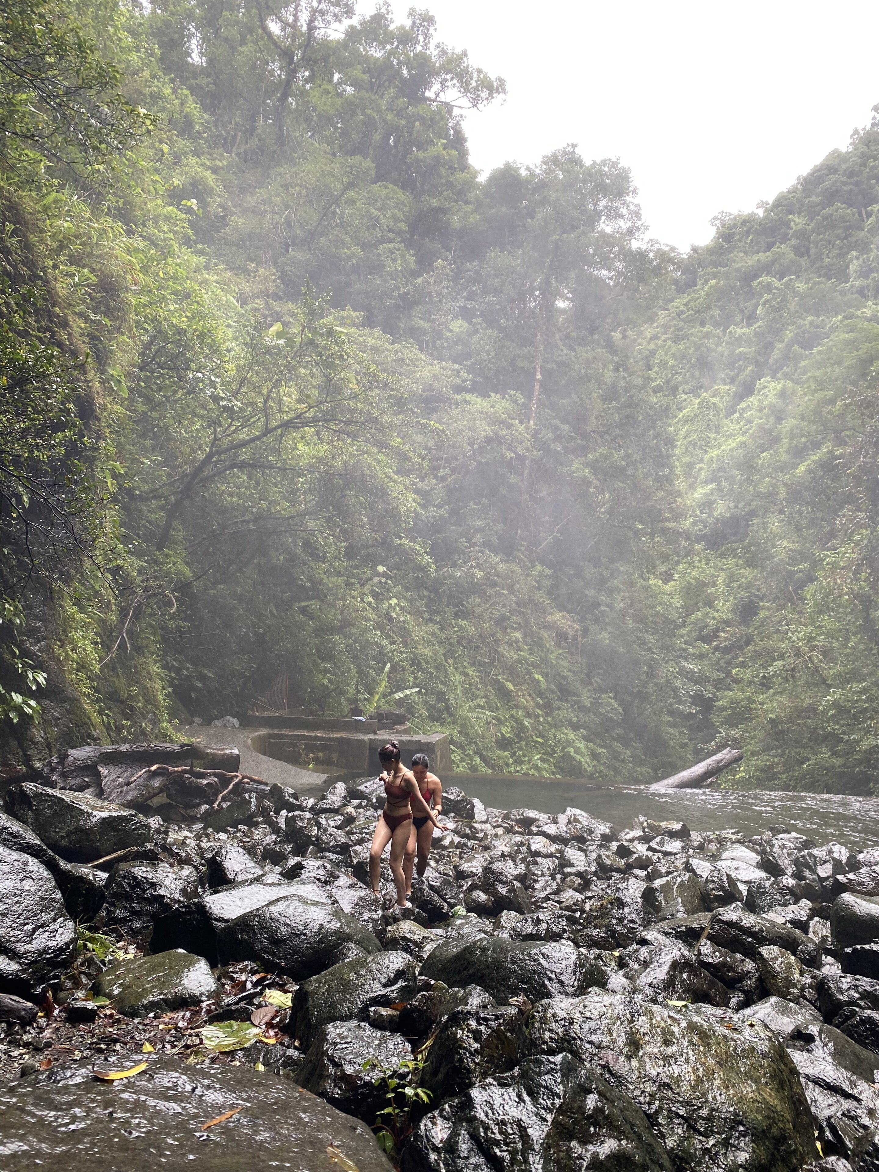 A natural rocky area with dense greenery in the background.