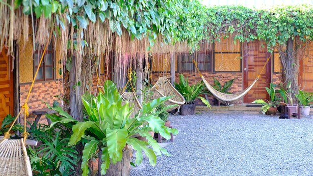 A garden area with hanging plants, a wooden door, and a hammock. - Pacific Waves Inn Annex (Baler)