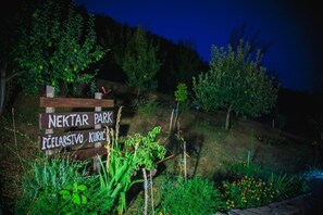Welcome to Nektar Park, a serene garden oasis with lush greenery and vibrant flowers.