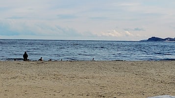 Naik kapal