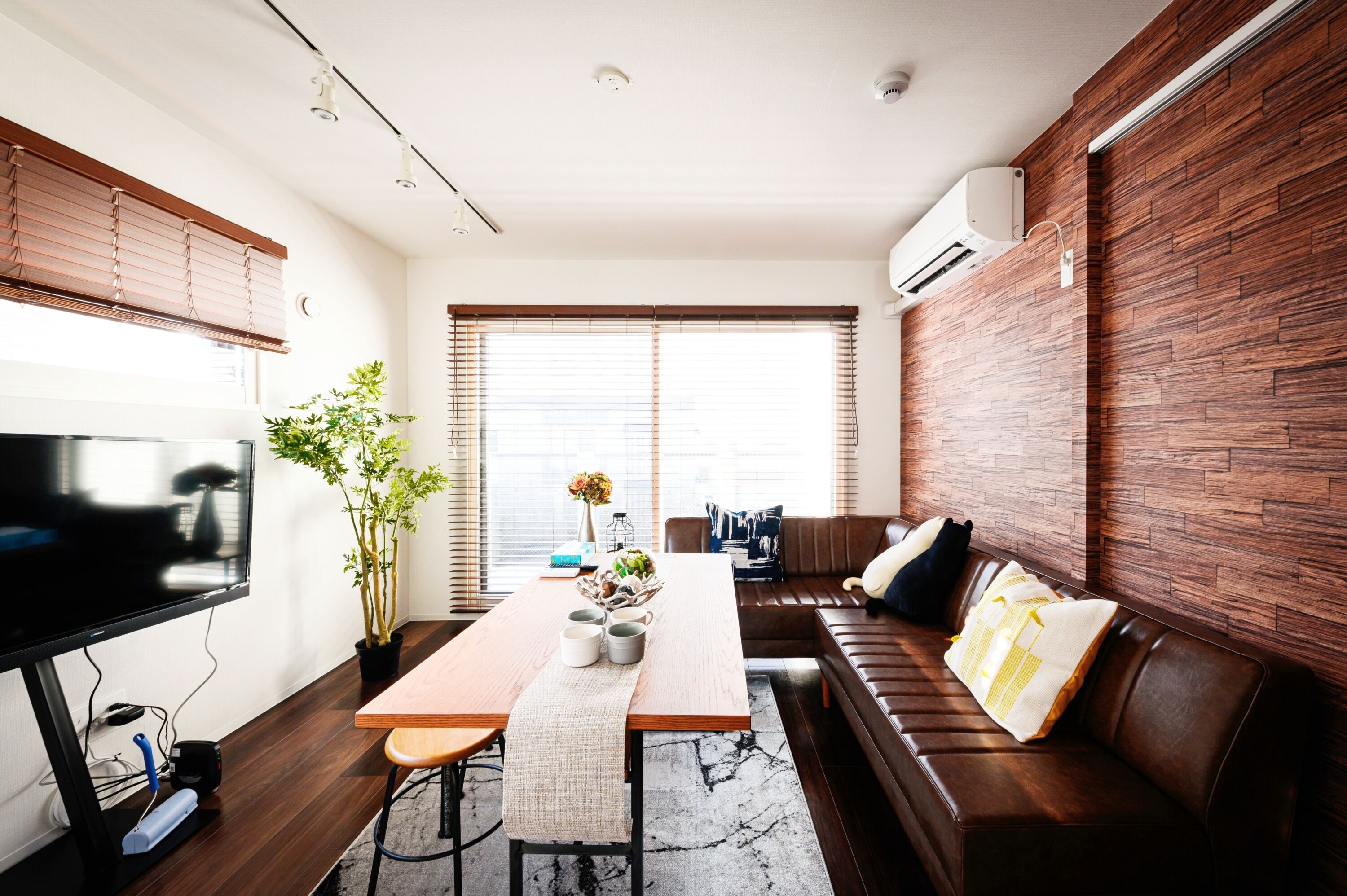 Flat-screen TV