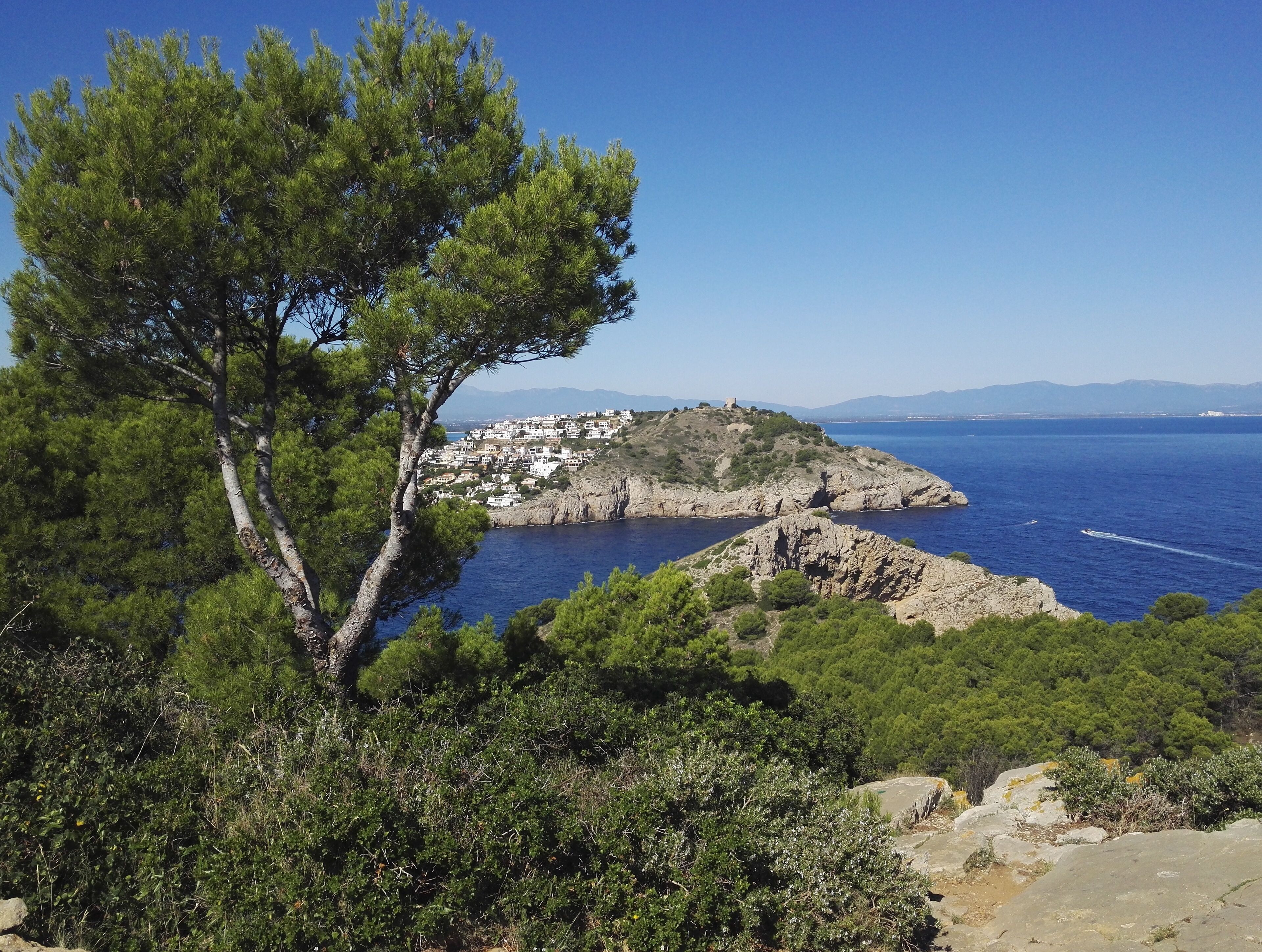 A coastal landscape with a prominent tree in the foreground, a rocky coastline, and a small settlement on a hill with a view of the sea.
