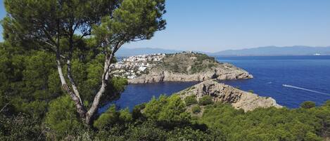A coastal landscape with a prominent tree in the foreground, a rocky coastline, and a small settlement on a hill with a view of the sea.