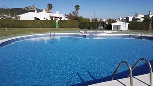A clear blue swimming pool with a metal ladder, surrounded by a well-maintained hedge and a white building in the background.