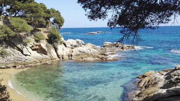 A coastal landscape with clear waters, rocky terrain, and dense greenery.