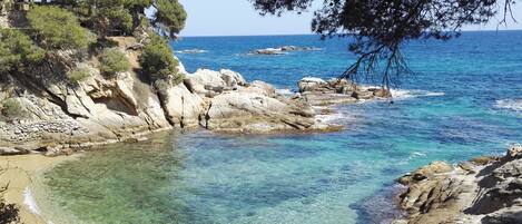 Playa en los alrededores y camastros