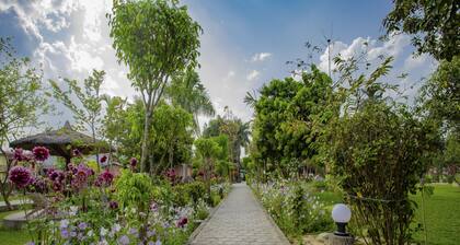 Jungle Nepal Resort