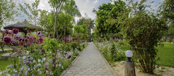 Jungle Nepal Resort
