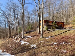 Une cabane située dans une zone boisée, sous un ciel dégagé.