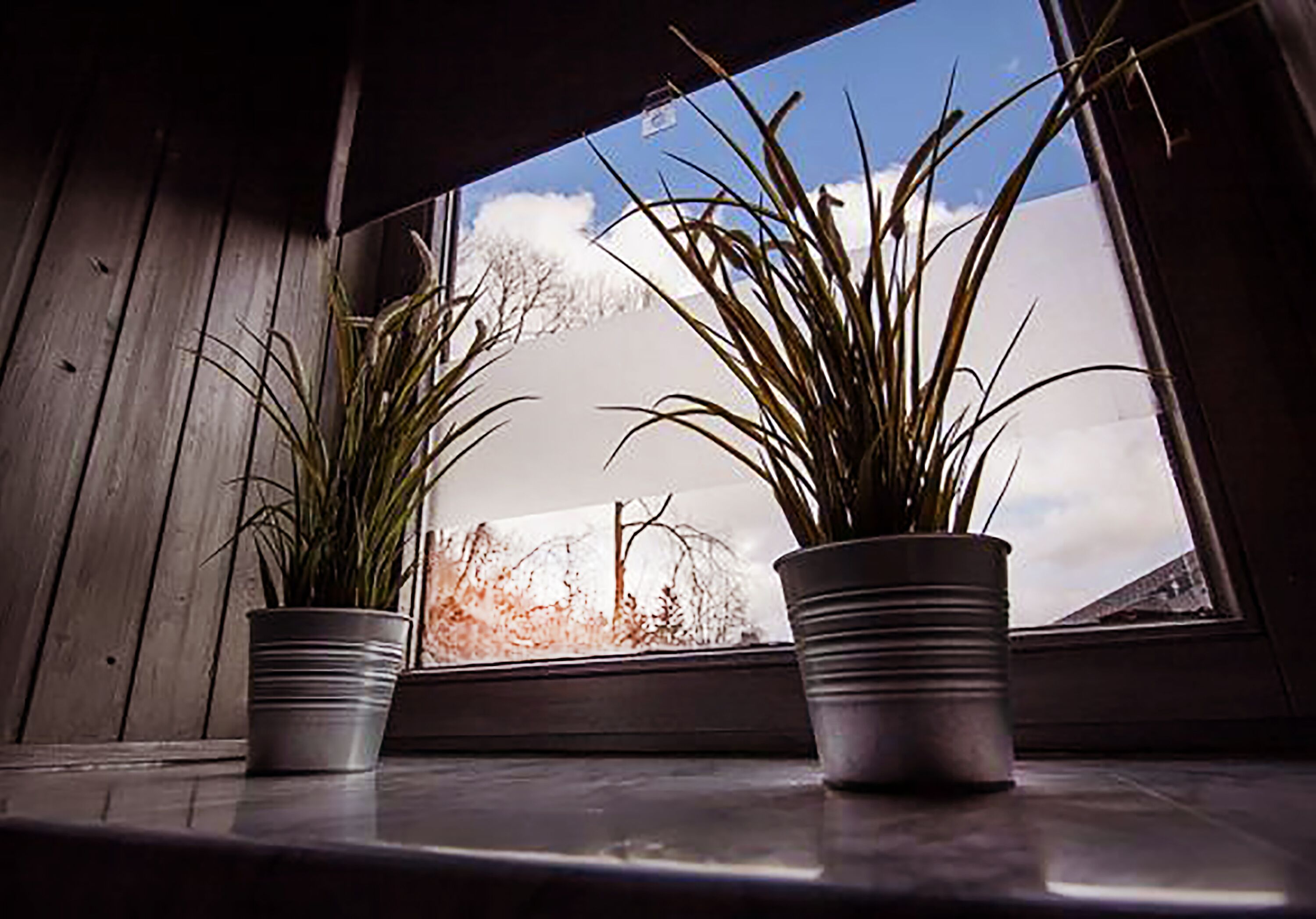 Two potted plants on a windowsill with a view of a snowy landscape.