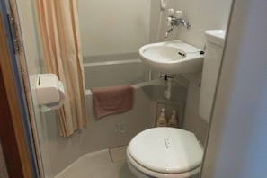 Combined shower/tub, hair dryer, towels