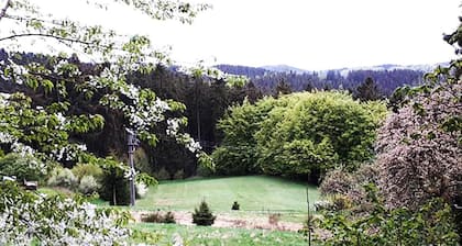 Green Corner Nürburg