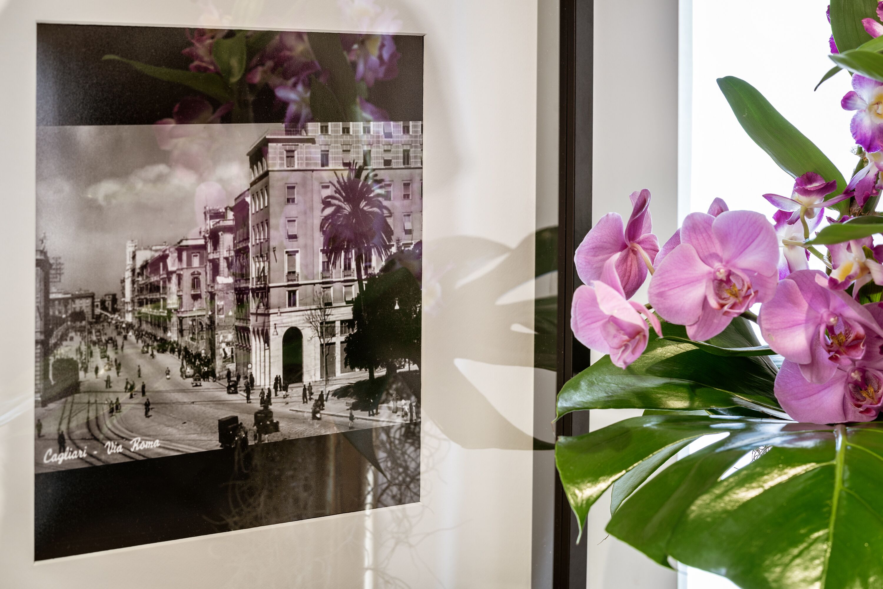 Photo - Birkin Marina