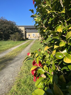 Detalle exterior